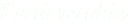 Punti vendita